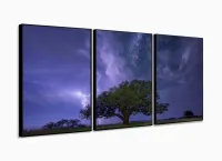 Quadro Decorativo Paisagens Árvore Noturna 3 peças 120x60 com moldura filete - Foto 3