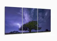 Quadro Decorativo Paisagens Árvore Noturna 3 peças 120x60 com moldura filete - Foto 5