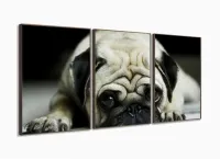 Quadro Decorativo Pug Cachorro Com Tela De Tecido 3 peças com moldura filete - Foto 2