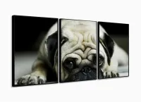 Quadro Decorativo Pug Cachorro Com Tela De Tecido 3 peças com moldura filete - Foto 3