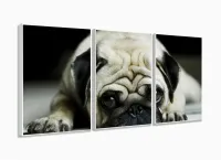 Quadro Decorativo Pug Cachorro Com Tela De Tecido 3 peças com moldura filete - Foto 4
