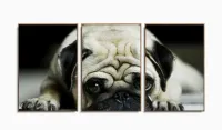 Quadro Decorativo Pug Cachorro Com Tela De Tecido 3 peças com moldura filete - Foto 6