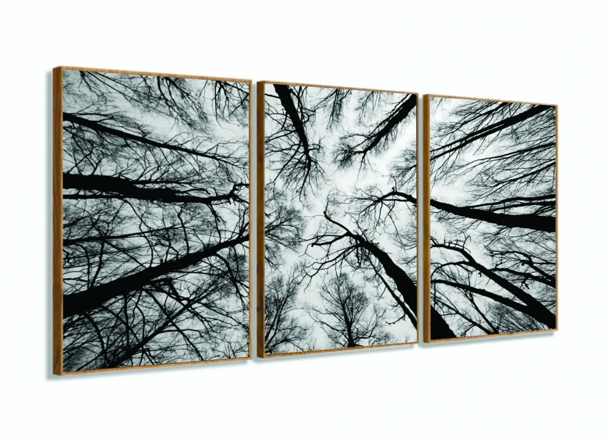 Quadro Moderno Árvores Preto e Branco Para Sala 120x60 3 peças com moldura filete Imagem