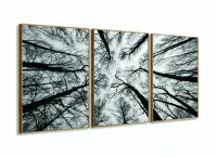 Quadro Moderno Árvores Preto e Branco Para Sala 120x60 3 peças com moldura filete