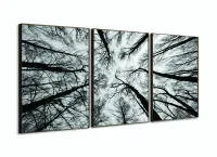 Quadro Moderno Árvores Preto e Branco Para Sala 120x60 3 peças com moldura filete - Foto 2