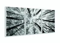 Quadro Moderno Árvores Preto e Branco Para Sala 120x60 3 peças com moldura filete - Foto 4