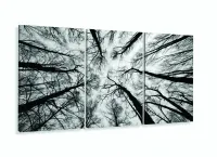 Quadro Moderno Árvores Preto e Branco Para Sala 120x60 3 peças com moldura filete - Foto 5