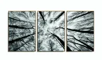 Quadro Moderno Árvores Preto e Branco Para Sala 120x60 3 peças com moldura filete - Foto 6
