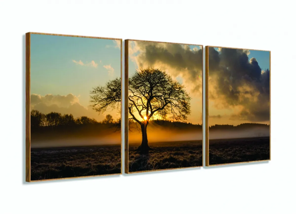Quadros Decorativos Arvore Por Do Sol 60 x120tem Tecido com moldura filete Imagem