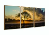 Quadros Decorativos Arvore Por Do Sol 60 x120tem Tecido com moldura filete