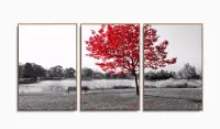 Quadros Decorativos Arvore Vermelho Botanico Sala 120x60 3 peças com moldura filete - Foto 6
