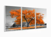 Quadros Decorativos Arvore Vida Laranja Sala Quarto 120x60 3 peças com moldura filete - Foto 4
