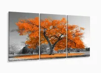 Quadros Decorativos Arvore Vida Laranja Sala Quarto 120x60 3 peças com moldura filete - Foto 5