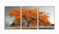 Quadros Decorativos Arvore Vida Laranja Sala Quarto 120x60 3 peças com moldura filete - Foto 6