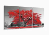 Quadros Decorativos Arvore Vida Vermelho Sala 120x60 3 peças com moldura filete - Foto 5