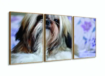 Quadros Decorativos Cachorro Shih-tzu 63x130mt Em Tecido com moldura filete