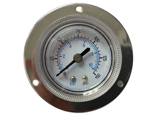 20105 - MANOMETRO Ø41 - 0 A 10BAR 1-8 NPT HORIZ. C FLANGE-M41F-10-01-GHP Imagem