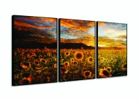 Quadro Campo de Flores Pôr do Sol Girassol Mosaico 120x60 mosaico com moldura filete - Foto 3