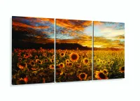 Quadro Campo de Flores Pôr do Sol Girassol Mosaico 120x60 mosaico com moldura filete - Foto 5