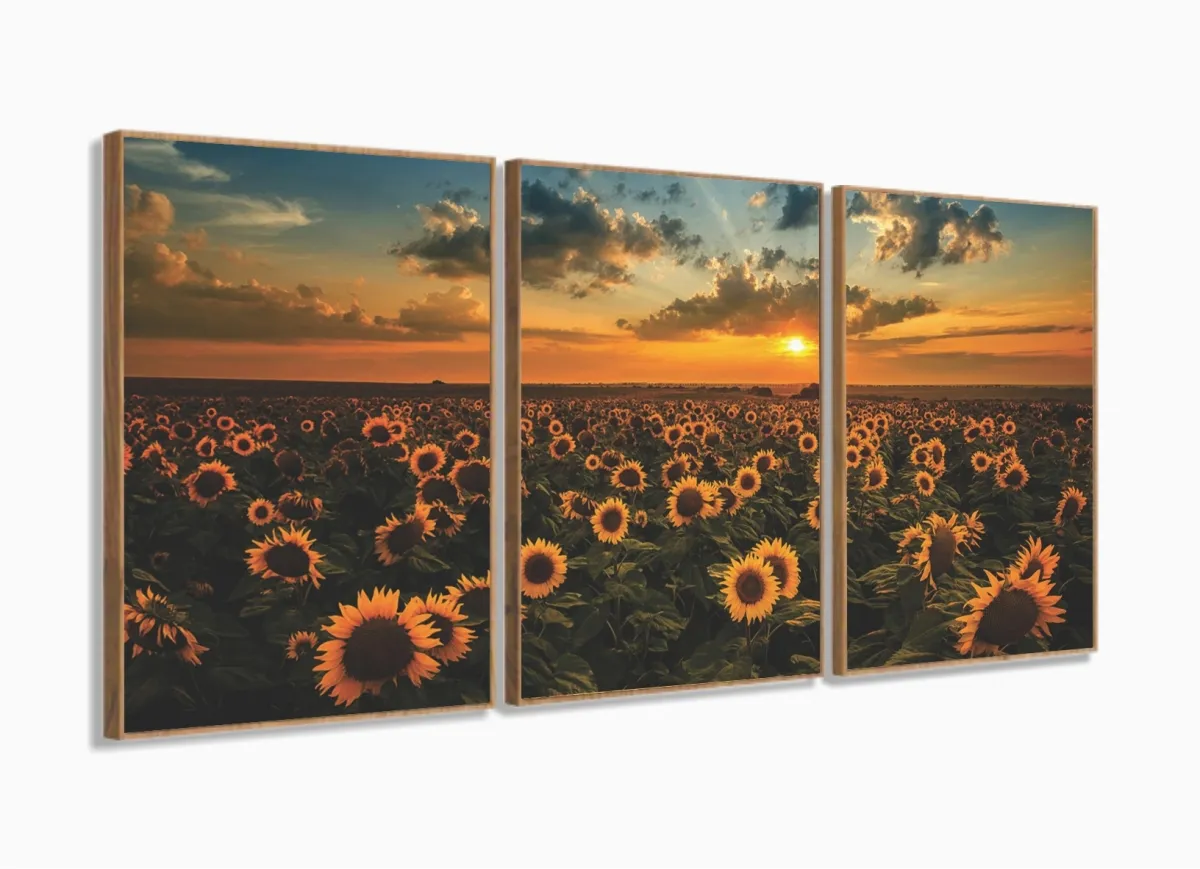 Quadro Decorativo Campo De Girassóis Entardecer 3 Peças com moldura filete Imagem