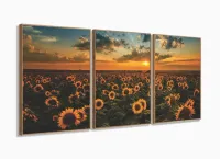 Quadro Decorativo Campo De Girassóis Entardecer 3 Peças com moldura filete