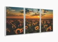 Quadro Decorativo Campo De Girassóis Entardecer 3 Peças com moldura filete - Foto 4