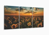 Quadro Decorativo Campo De Girassóis Entardecer 3 Peças com moldura filete - Foto 5