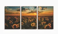 Quadro Decorativo Campo De Girassóis Entardecer 3 Peças com moldura filete - Foto 6