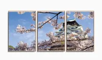 Quadro Decorativo Cerejeira do Japão 120x60 em tecido com moldura filete - Foto 6