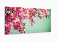 Quadro Decorativo Flor De Primavera Sacura 120x60  Sala com moldura filete - Foto 5