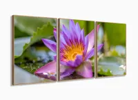 Quadro decorativo Flores - Paisagem Natureza - Tela em Tecid com moldura filete