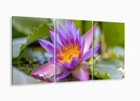 Quadro decorativo Flores - Paisagem Natureza - Tela em Tecid com moldura filete - Foto 5