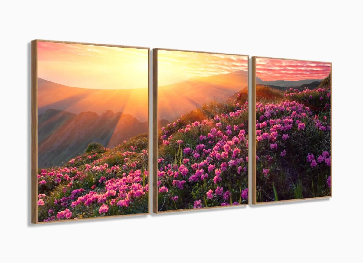 Quadro Decorativo Flores Por Do Sol Hd 120x60  Quarto Sala com moldura filete Imagem