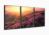 Quadro Decorativo Flores Por Do Sol Hd 120x60  Quarto Sala com moldura filete - Foto 3