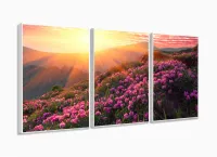 Quadro Decorativo Flores Por Do Sol Hd 120x60  Quarto Sala com moldura filete - Foto 4