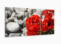 Quadro Decorativo Flores Vermelha Sala Em Tecido120x60 3 peças com moldura filete - Foto 5