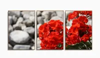 Quadro Decorativo Flores Vermelha Sala Em Tecido120x60 3 peças com moldura filete - Foto 6