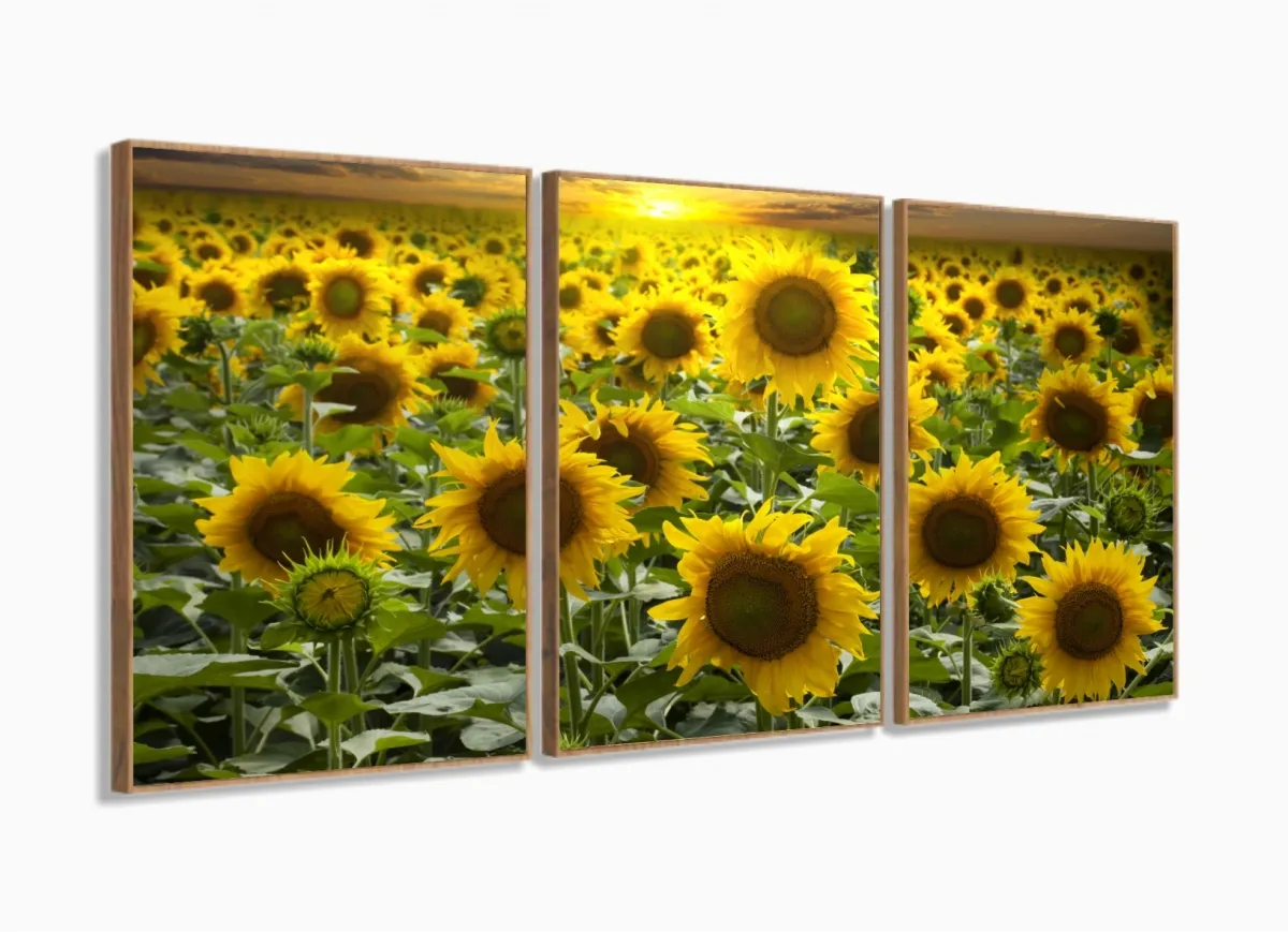 Quadro Decorativo Girassóis Grandes 120x60  Sala Quarto com moldura filete Imagem