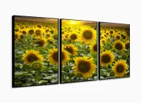 Quadro Decorativo Girassóis Grandes 120x60  Sala Quarto com moldura filete - Foto 3