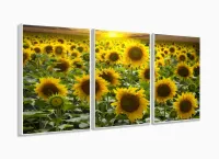 Quadro Decorativo Girassóis Grandes 120x60  Sala Quarto com moldura filete - Foto 4