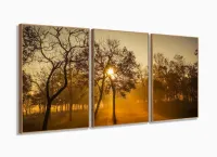 Quadro Decorativo Nascer Do Sol Na Floresta 120x60 3 peças Sala com moldura filete