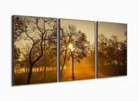 Quadro Decorativo Nascer Do Sol Na Floresta 120x60 3 peças Sala com moldura filete - Foto 2