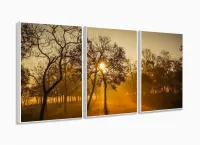 Quadro Decorativo Nascer Do Sol Na Floresta 120x60 3 peças Sala com moldura filete - Foto 4