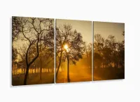 Quadro Decorativo Nascer Do Sol Na Floresta 120x60 3 peças Sala com moldura filete - Foto 5