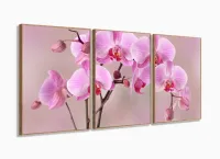 Quadro Decorativo Orquídeas Rosa 120x60 3 peças  Sala Quarto com moldura filete