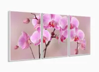 Quadro Decorativo Orquídeas Rosa 120x60 3 peças  Sala Quarto com moldura filete - Foto 4