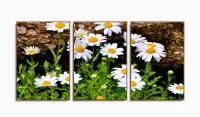 Quadro Decorativo Paisagem Flores Tela Em Tecido 3 Peças com moldura filete - Foto 6