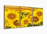 Quadro Decorativos Girassol sala quarto 120x60 3 peças com moldura filete