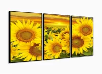 Quadro Decorativos Girassol sala quarto 120x60 3 peças com moldura filete - Foto 3