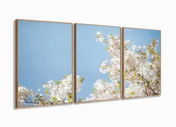 Quadro Flores e Plantas Natureza Paisagem Conjunto 3 peças 125x60 com moldura filete